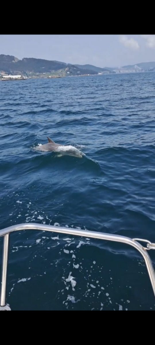 Segeln lernen auf einem Segelboot