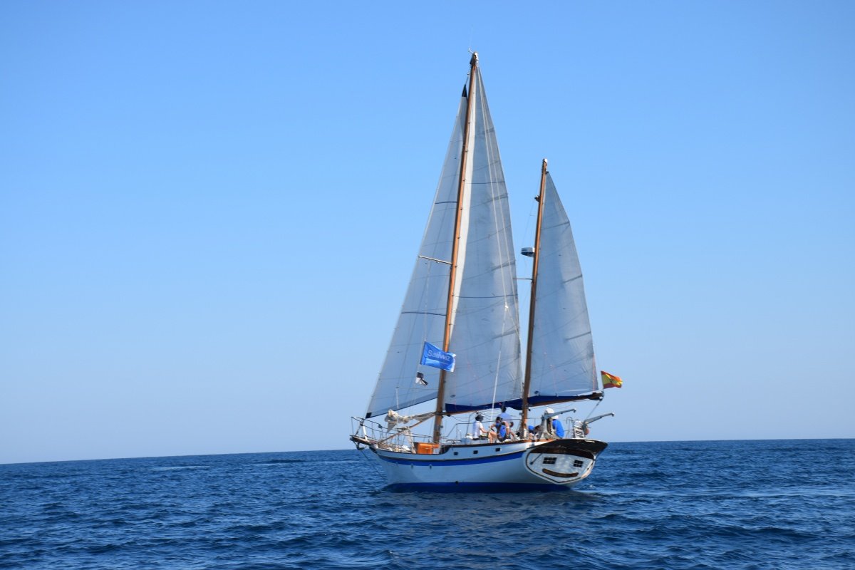 sail reinforcement per