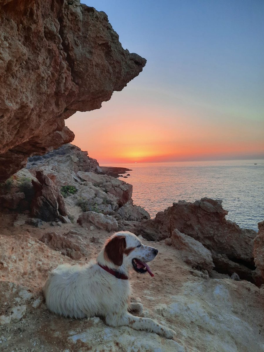 disfruta-de-unas-vacaciones-únicas-en-Formentera