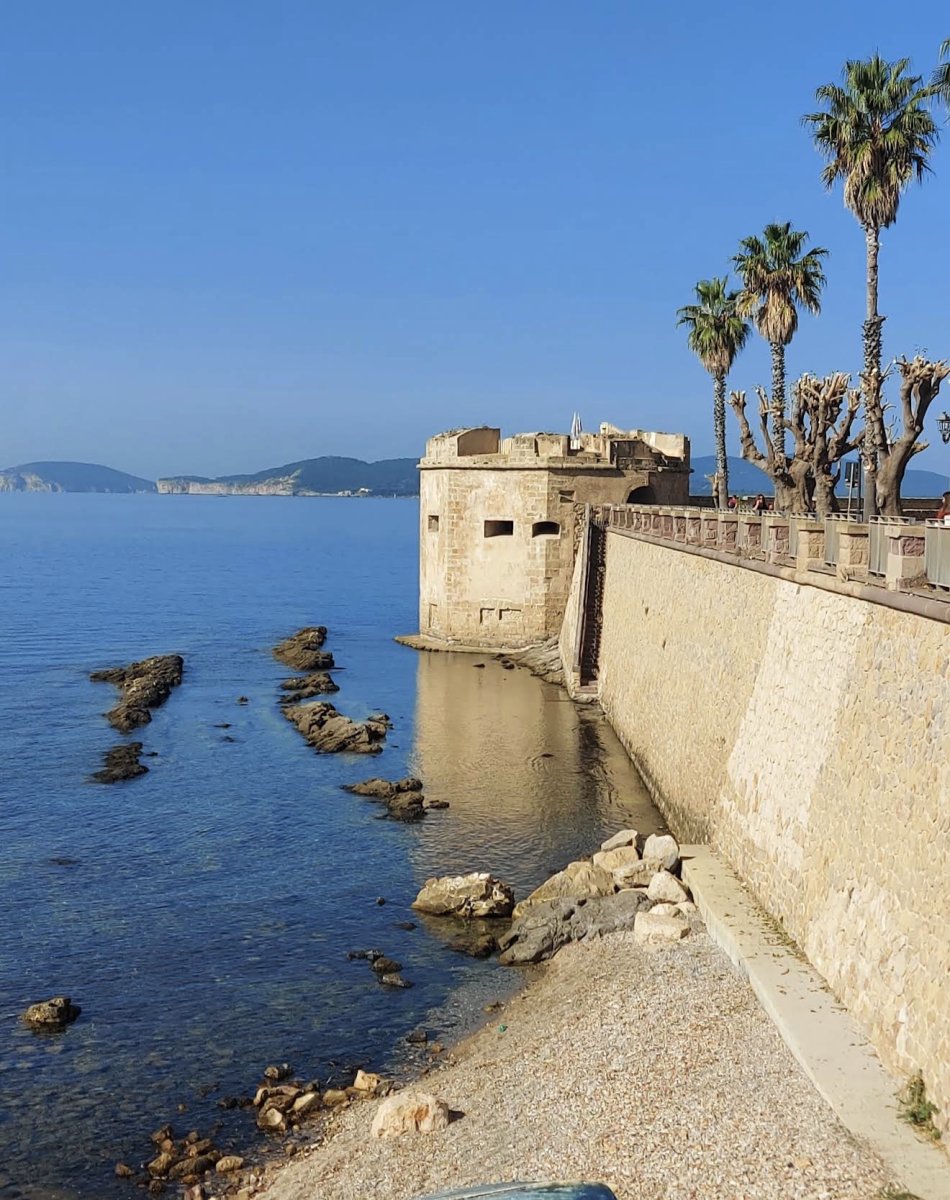 Entdecken Sie Mallorca auf einer aufregenden Bootsfahrt von Rom