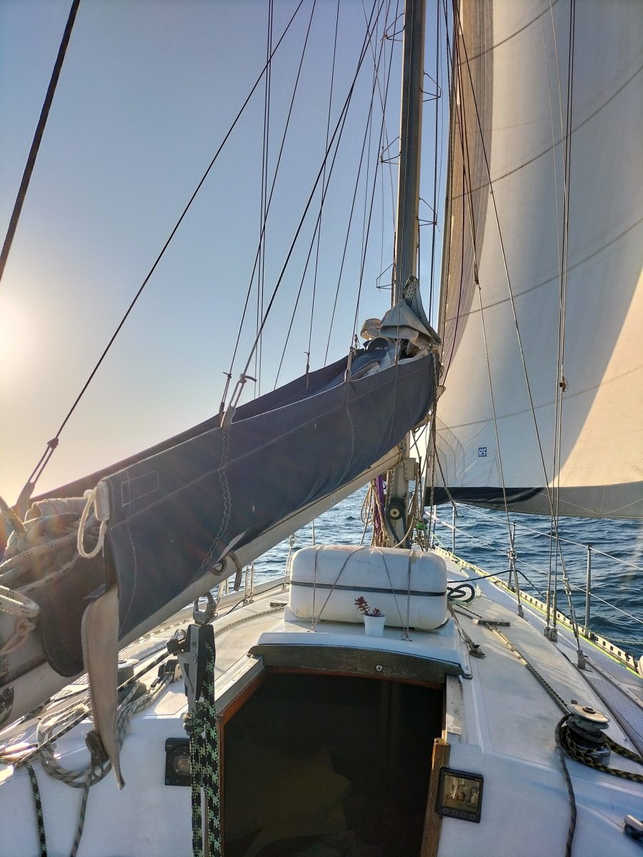 Goditi la bellezza dei Caraibi in un viaggio in barca