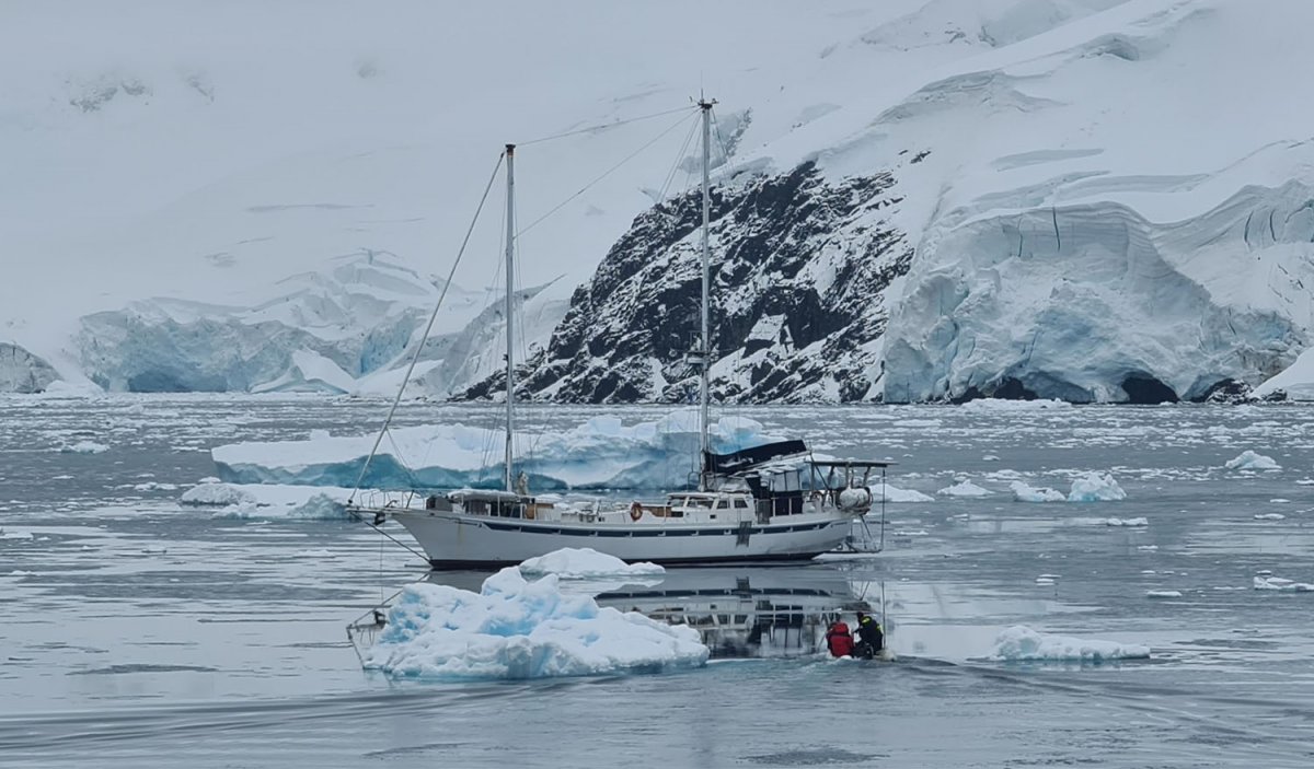Esperienza unica in un viaggio nell'Antartide