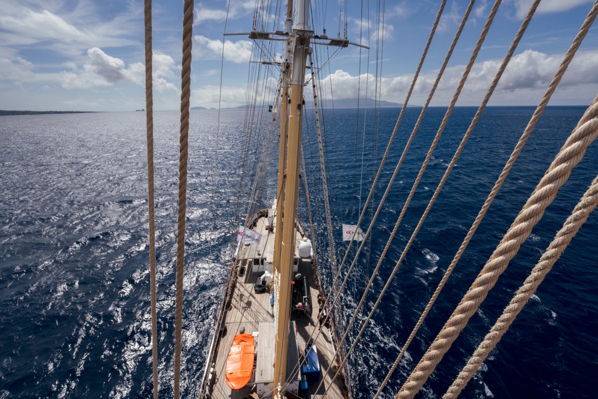 Sail on a Tall Ship, enjoying the sea breeze and ocean views