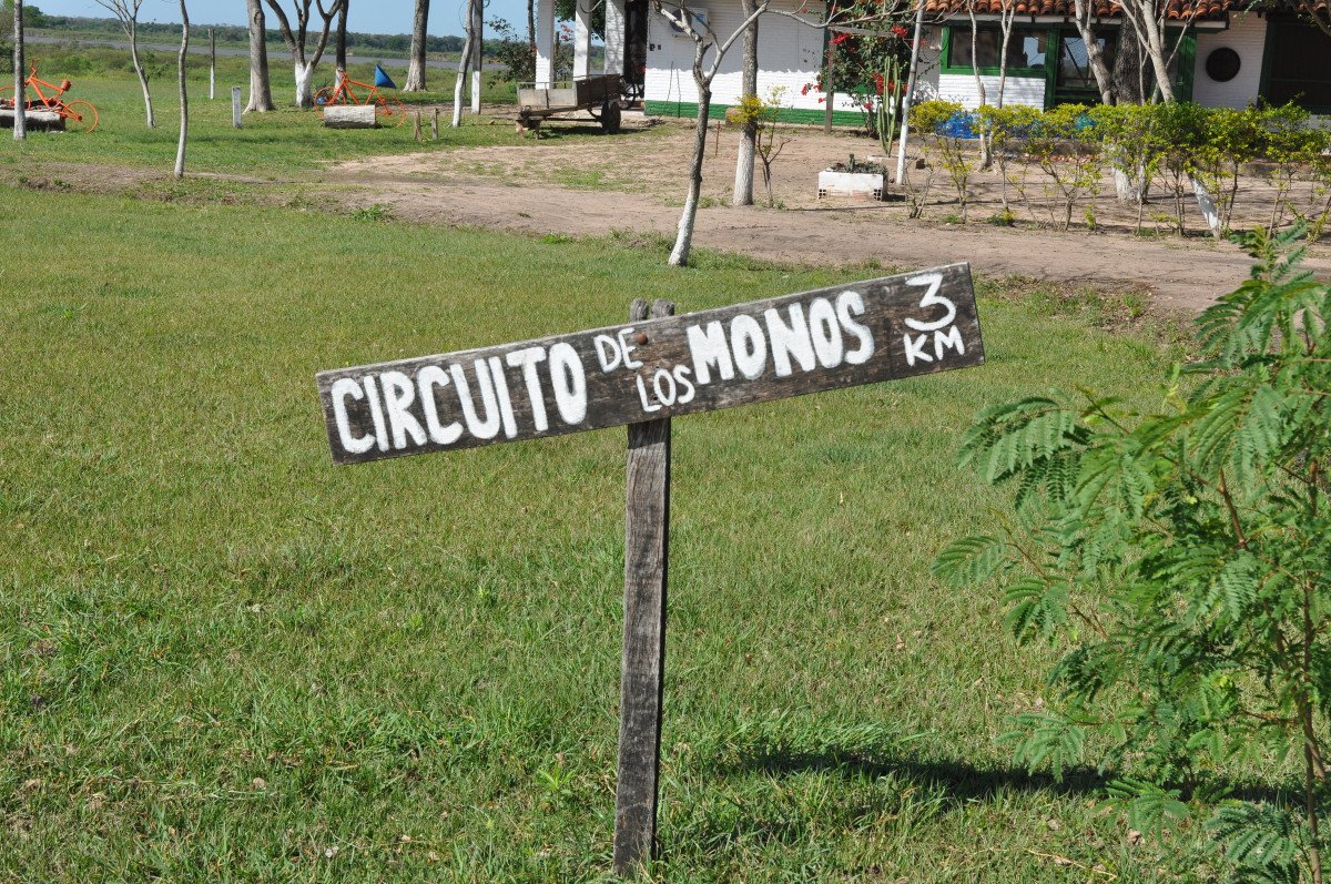 Esplora la bellezza nascosta della giungla paraguaiana