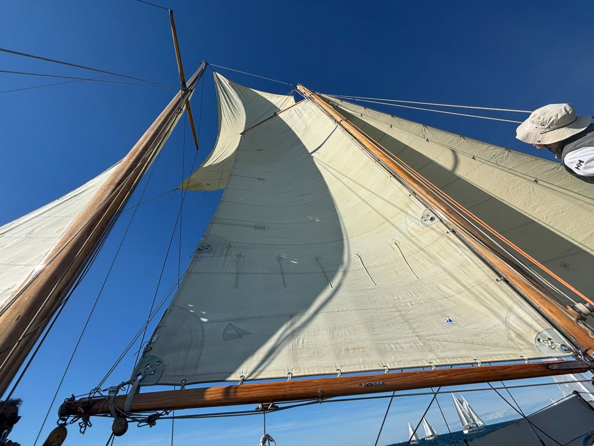 Race in the famous Barcolana Regatta on a luxurious yacht over 16 meters