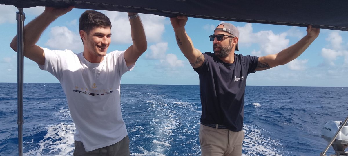 Safari acuático en velero desde Mallorca
