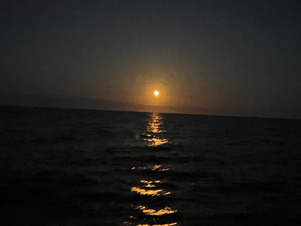 Sailboat navigation group