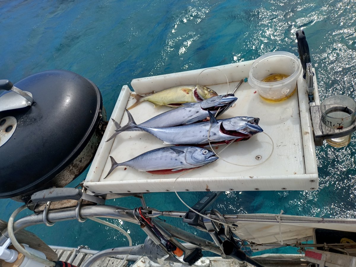 Vai in crociera oceanica su un ketch di 18 metri da Fuerteventura a Funchal