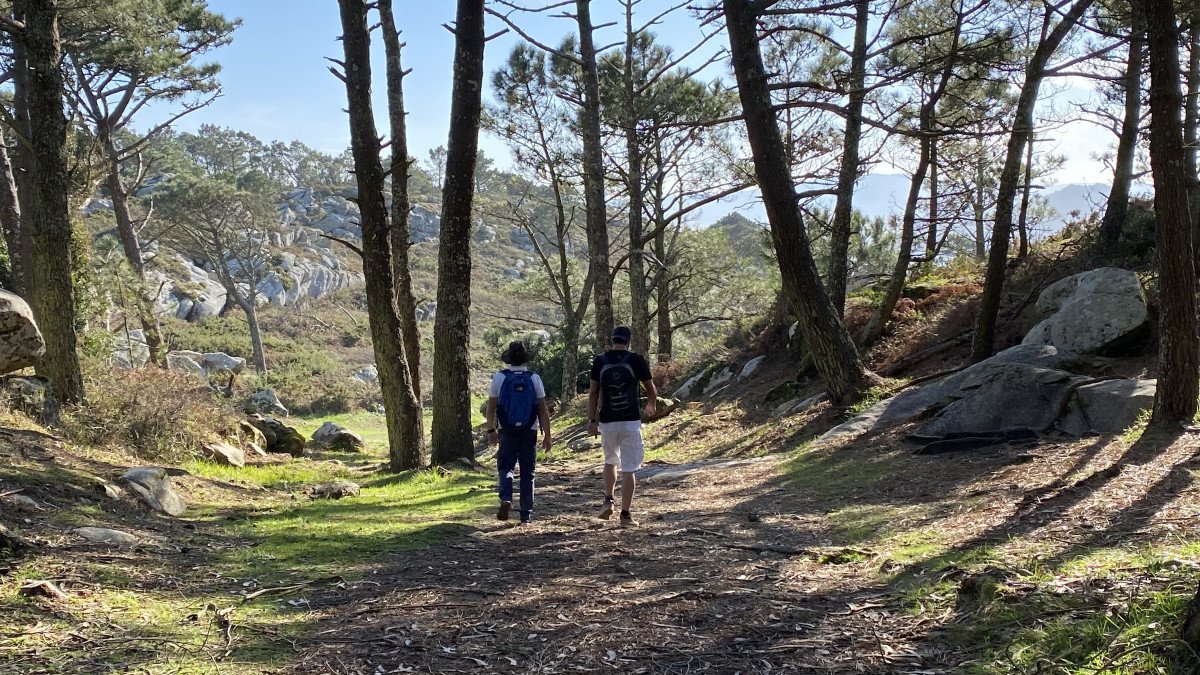 Desde el catamarán, contemplar la belleza del Parque Nacional Atlántico