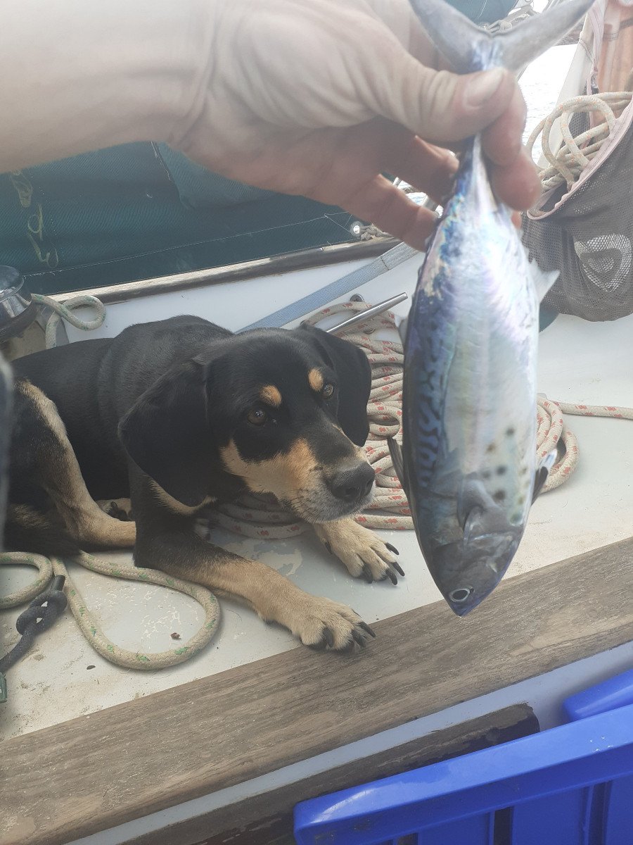 Relájate en Ibiza y Formentera