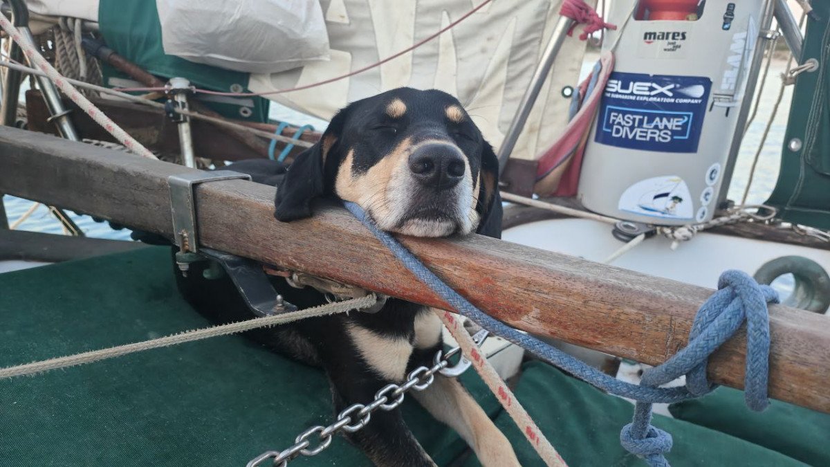 Rilassati sulle spiagge di sabbia bianca e nuota nelle acque cristalline delle isole Pitiusas