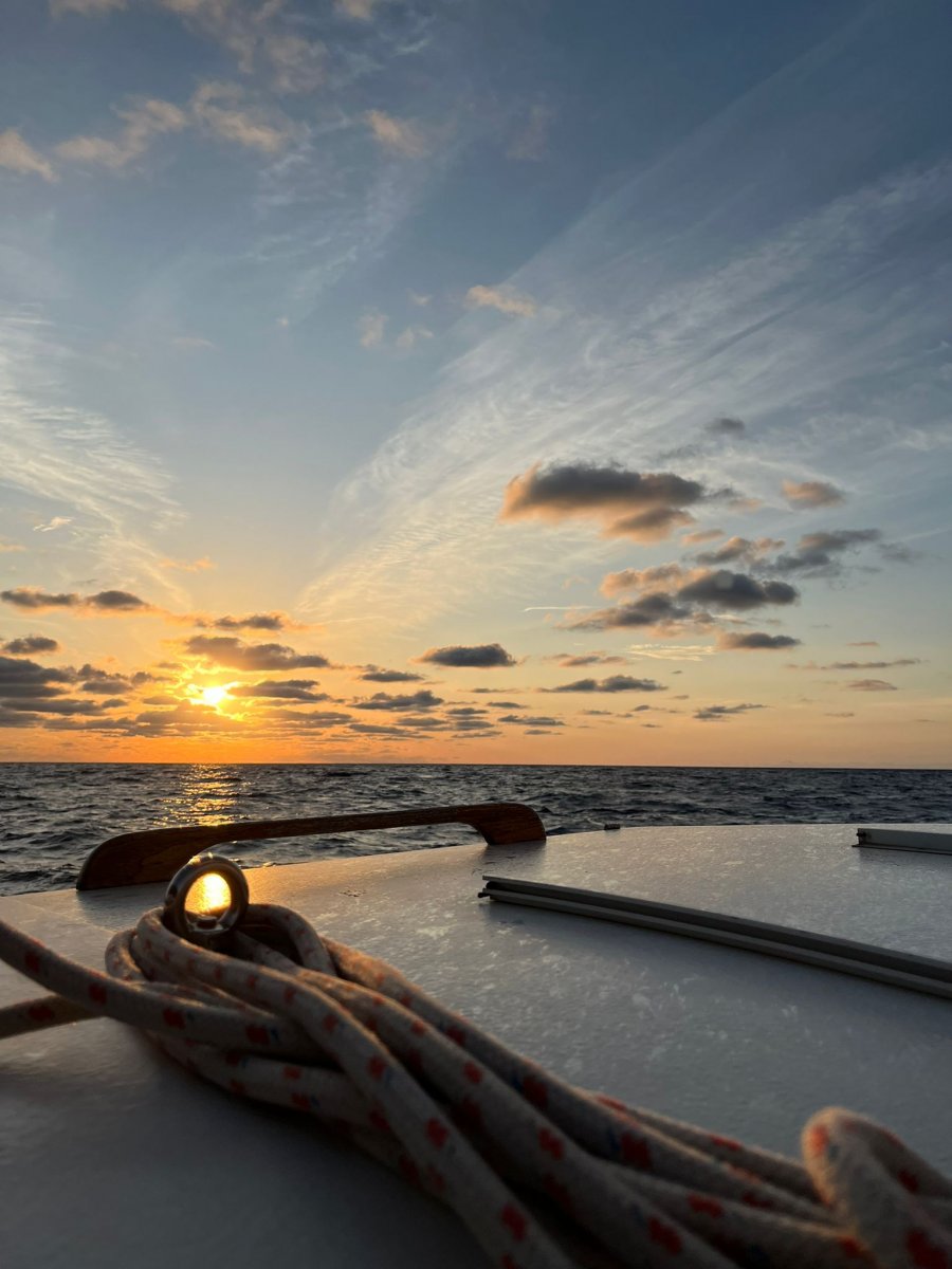 Relájate y disfruta de la naturaleza en un viaje en barco