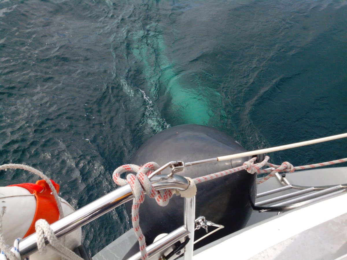 Segelboot - Dufour Yachts - 3 {{i18n.cabins}}