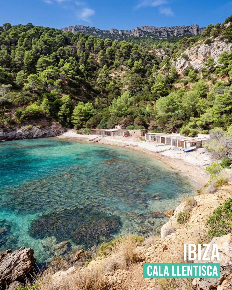 Visit Ibiza's coves from a catamaran