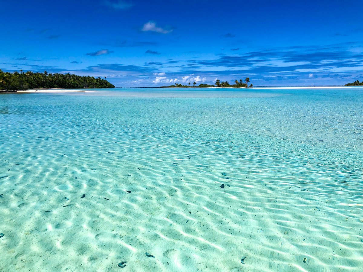 Islas Marquesas en velero: un viaje a través del patrimonio polinesio