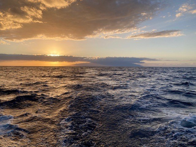 Esperienza di navigazione in veliero da Tenerife