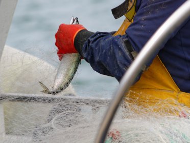 curso-marinero-pescador-san-sebastian