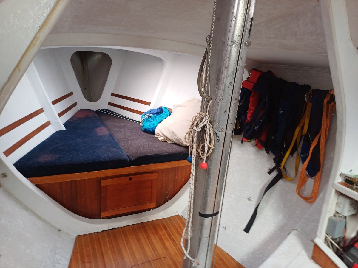 Sailboat - Belliure - Farr 40