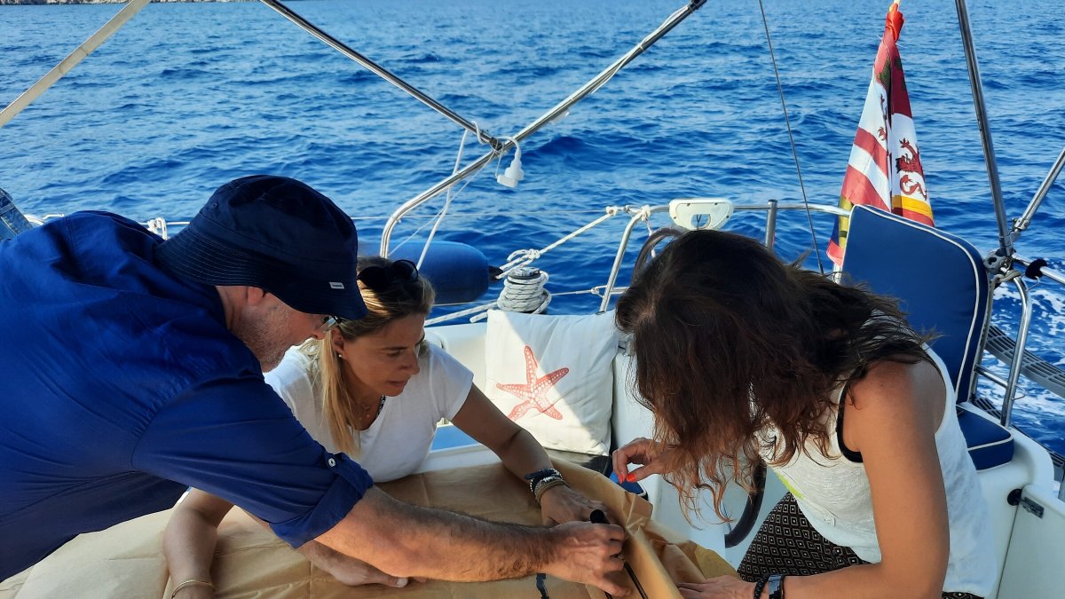 Travel by boat through the world's seas