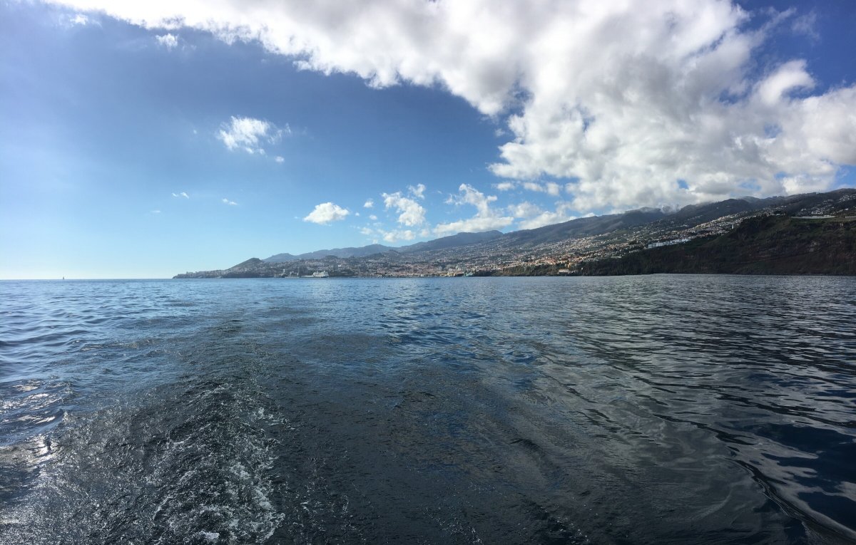 Segeln über den Atlantik: Reise nach Madeira, Marokko, Gibraltar, Malaga nur Hinfahrt
