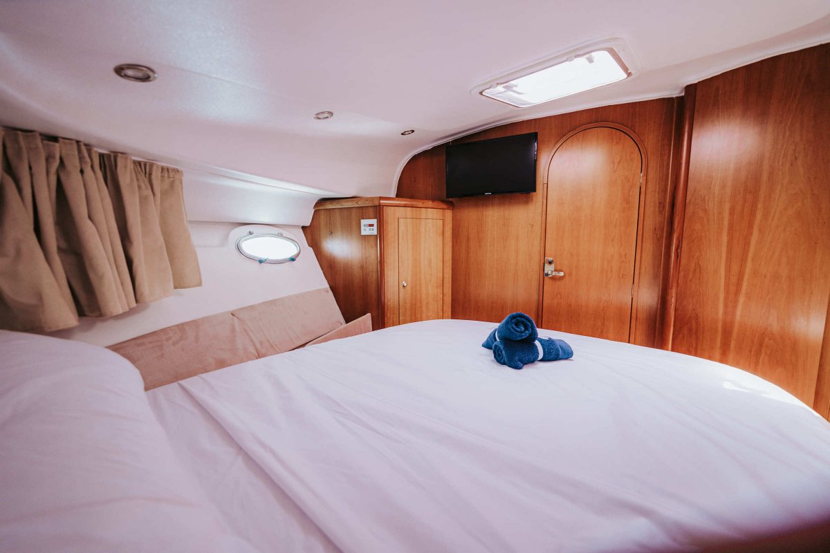 Barco a motor - Starfisher - 34 Cruiser