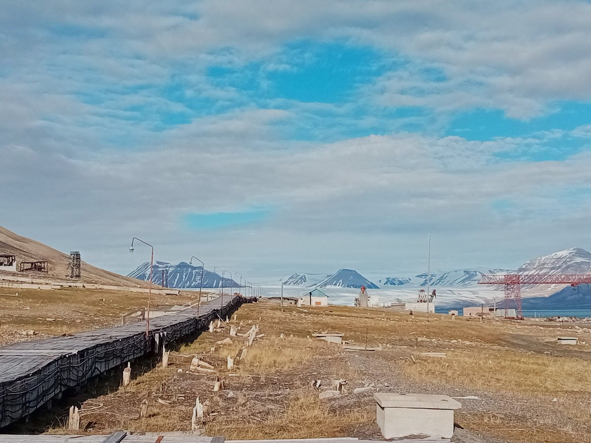 Segel auf einem Svalbard Safari-Trip