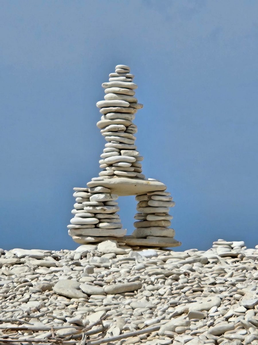 Connettiti con la natura e le bellissime viste durante i tuoi viaggi in barca