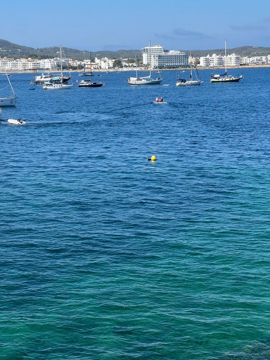 Avistamiento de delfines durante un crucero por Cerdeña