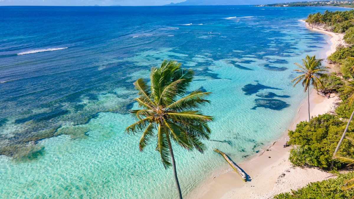 Esperienza in alto mare: dal Caribe alle Azzorre