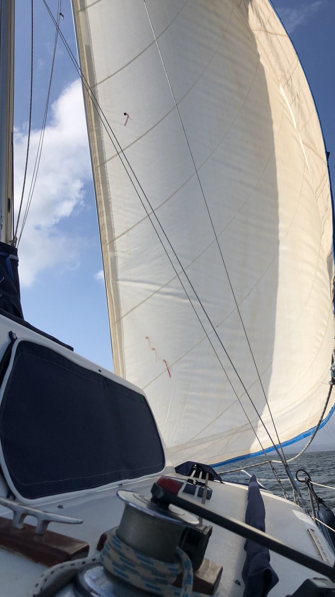 Catamarano - Cata - 8 persone