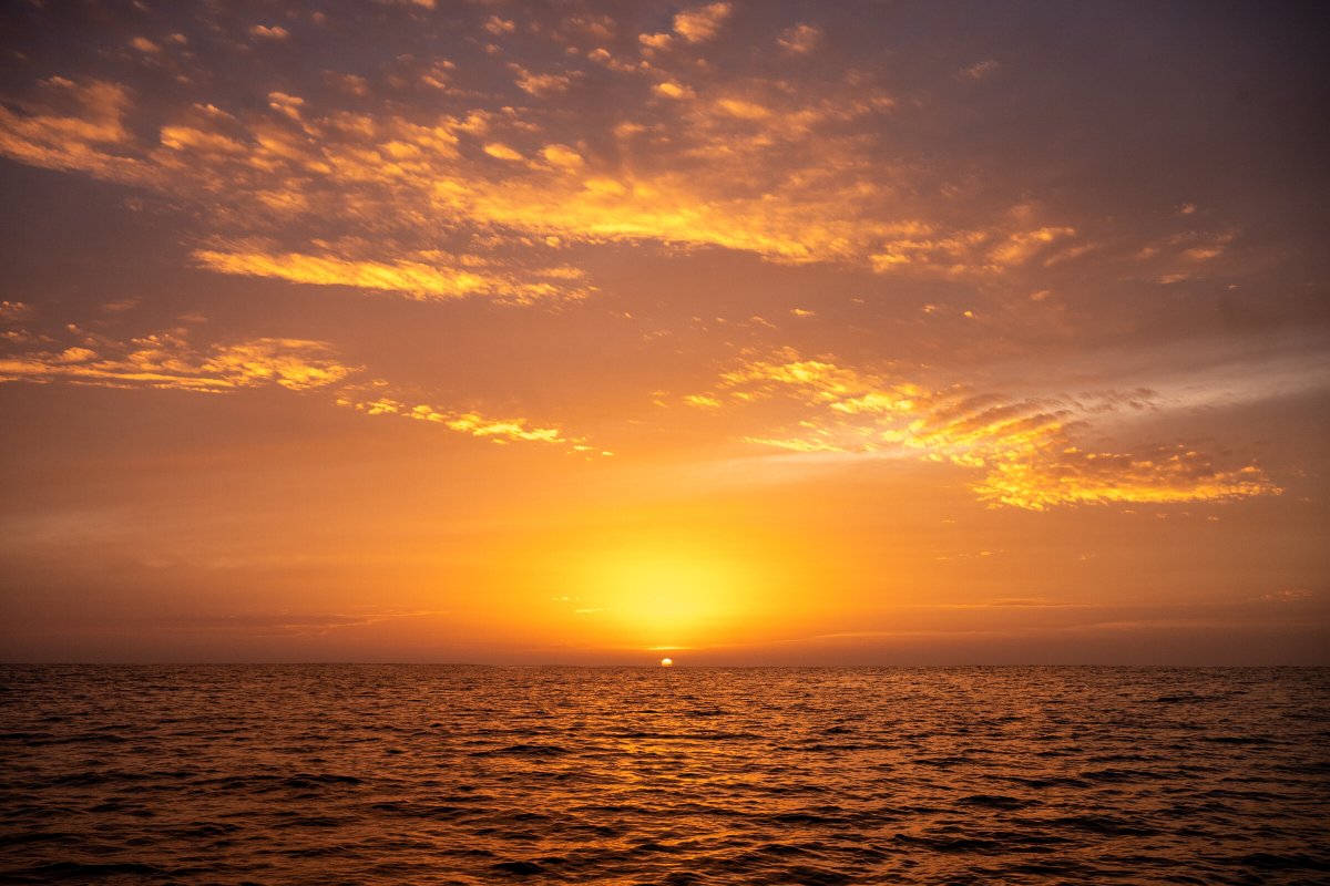 Sailing Courses in the Atlantic: Santa Cruz de Tenerife to Mindelo, Cape Verde