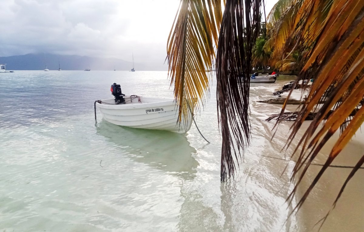 Puma Veleros - 12 {{i18n.meters}}