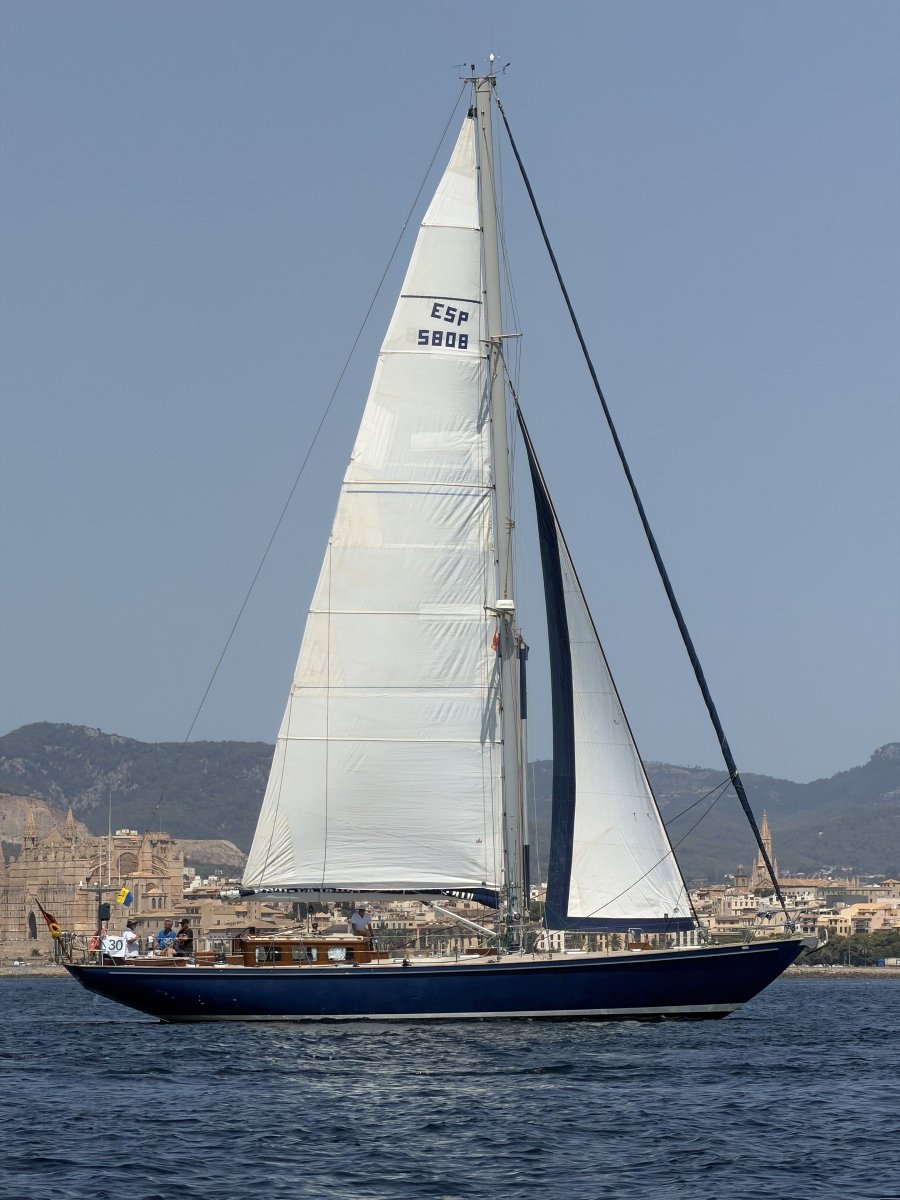 Marine-Abenteuer an der Costa Blanca