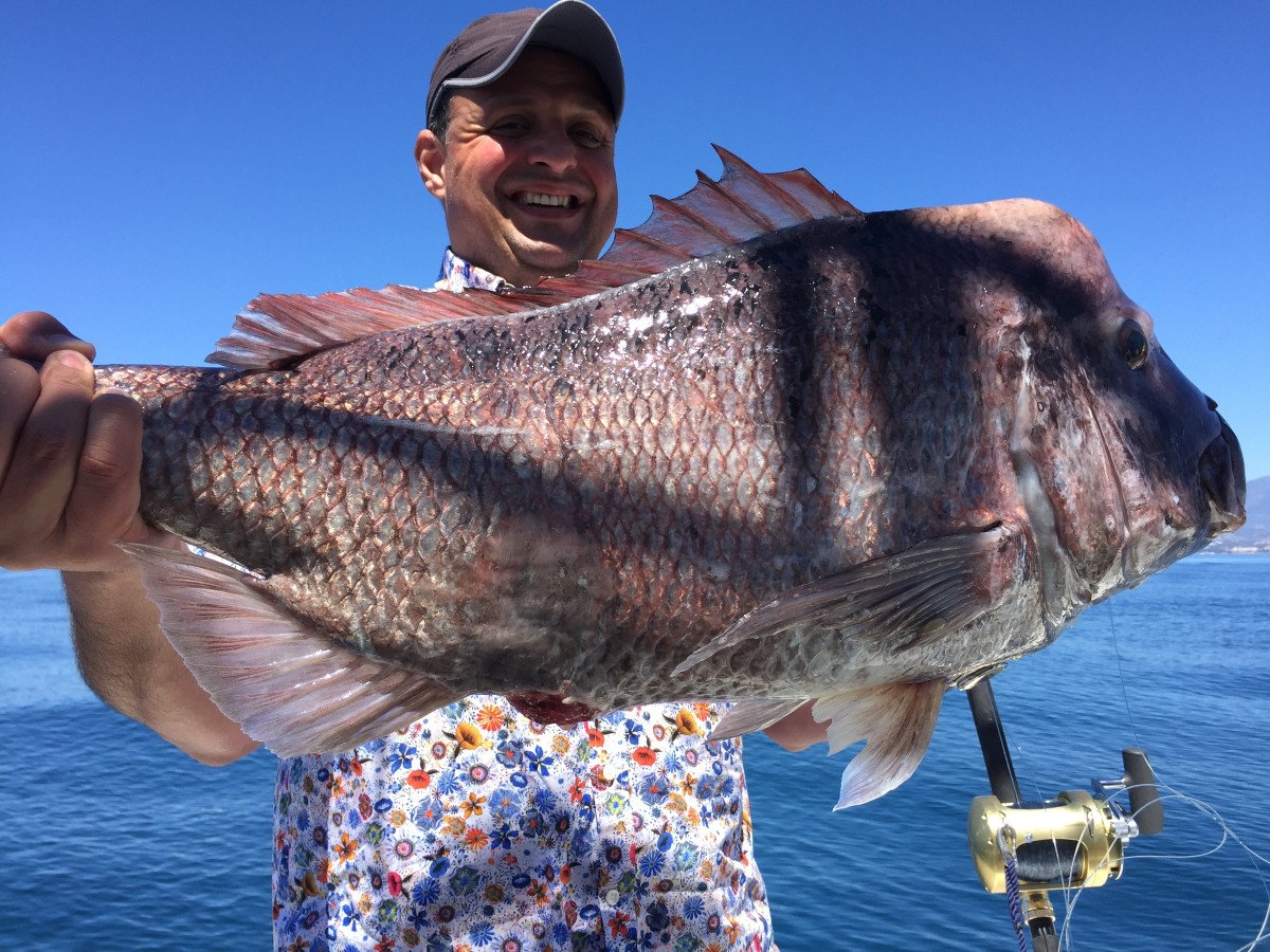 Fishing and 2-Hour Boat Ride from Marbella
