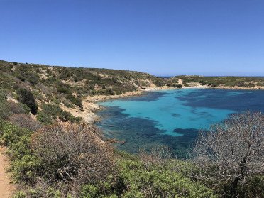 Impara a navigare con una fantastica vacanza tra l’Asinara e la Maddalena