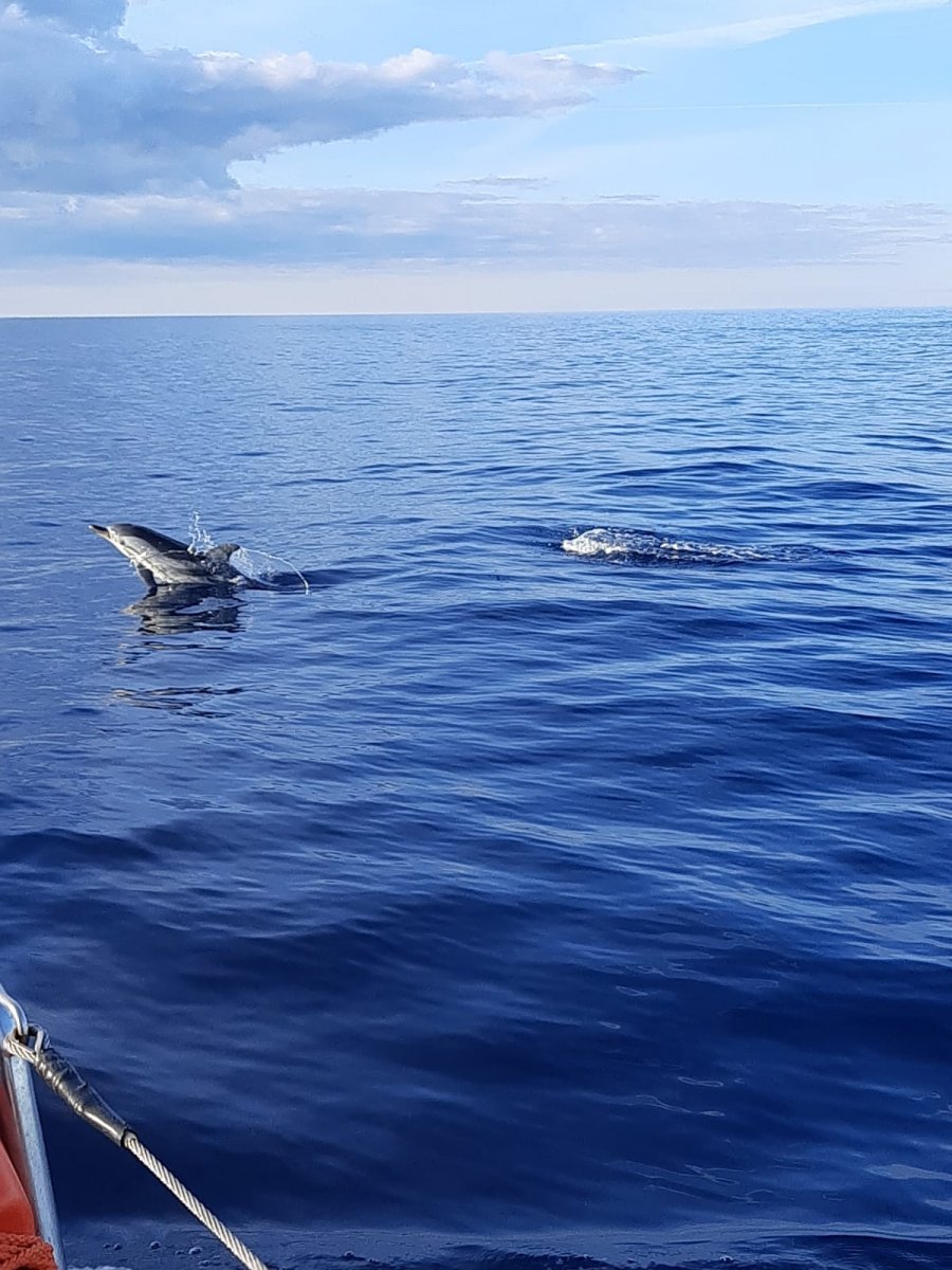 Ischia: una isla para descubrir con actividades de vela y senderismo