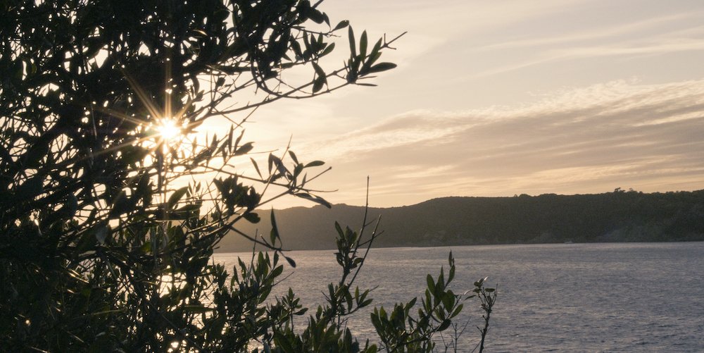 Segelkurs an der Côte d’Azur: Verbessern Sie Ihre Segelfähigkeiten