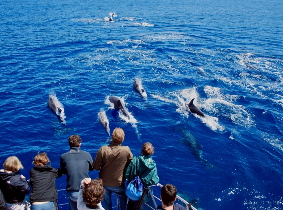 Corso di navigazione in catamarano da Cadiz a Lanzarote