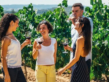 Alella Vineyard & Sailboat Tour from Barcelona