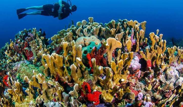 Entdecken Sie Kolumbien und Panama mit einem Katamaran-Segeltörn