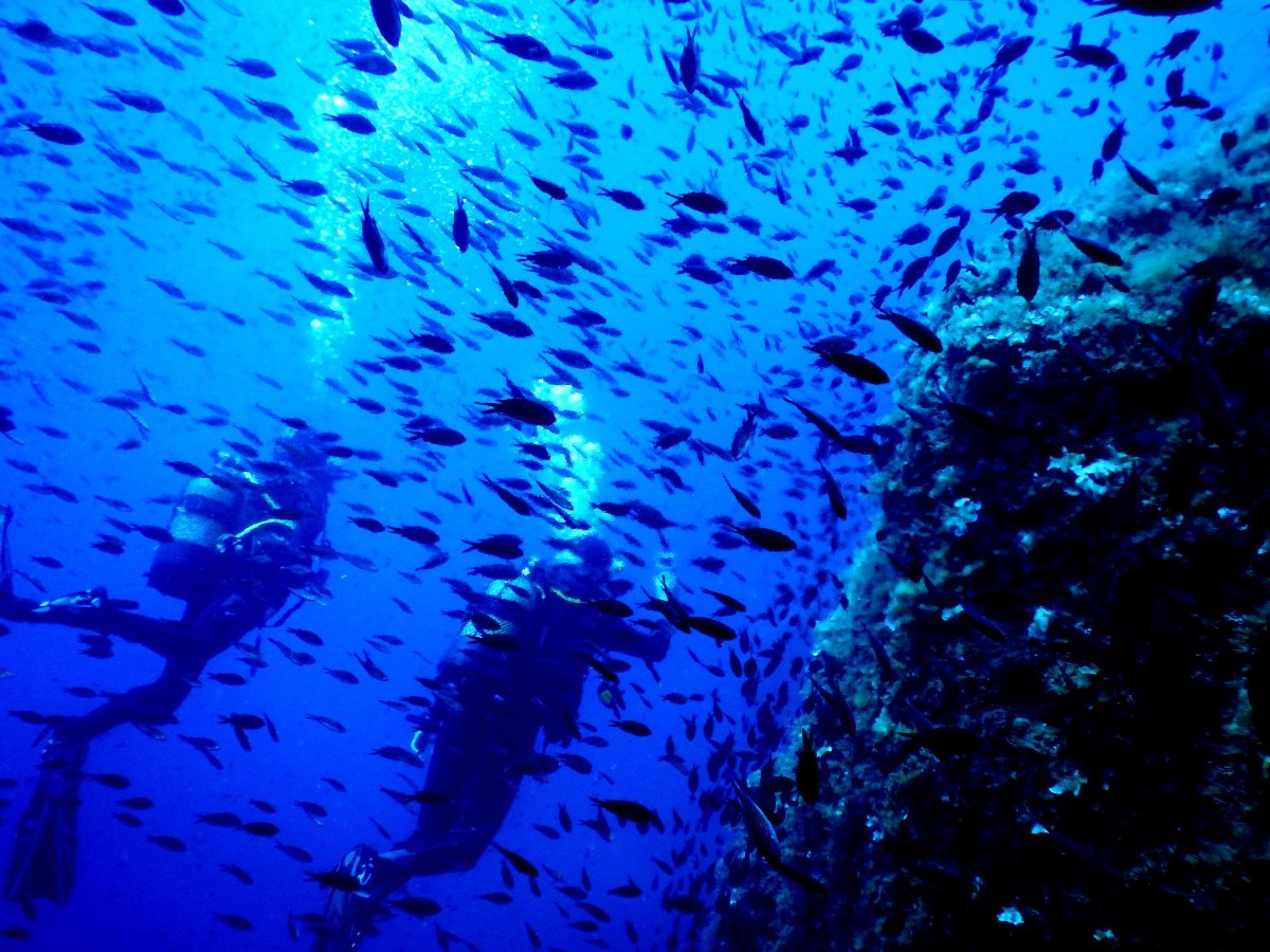 Sailing and scuba diving trip in Ibiza and Formentera, 3 nights, 5 dives