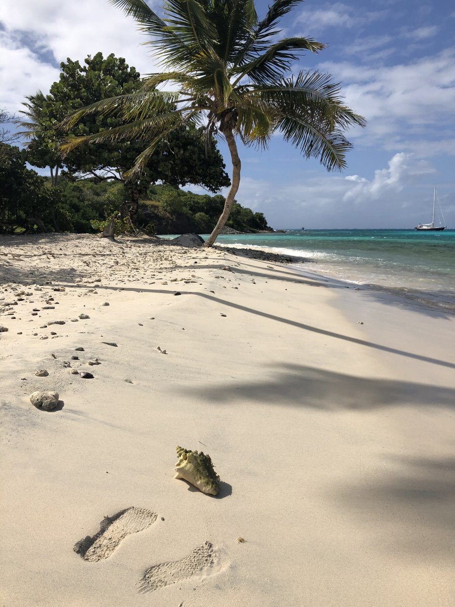 Avventura in barca a vela nel Mediterraneo