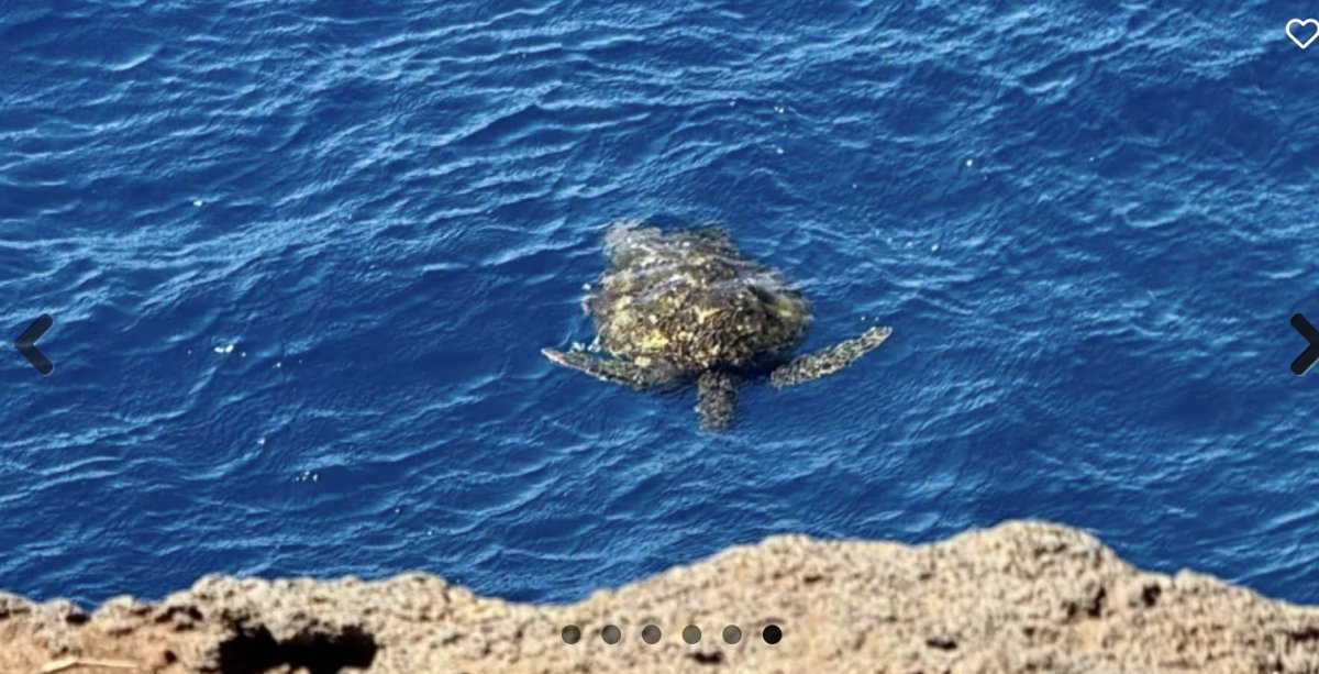 Sail from Brest to the mysterious Azores