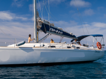 03e52fd882094ebd319731c626161c50.cms