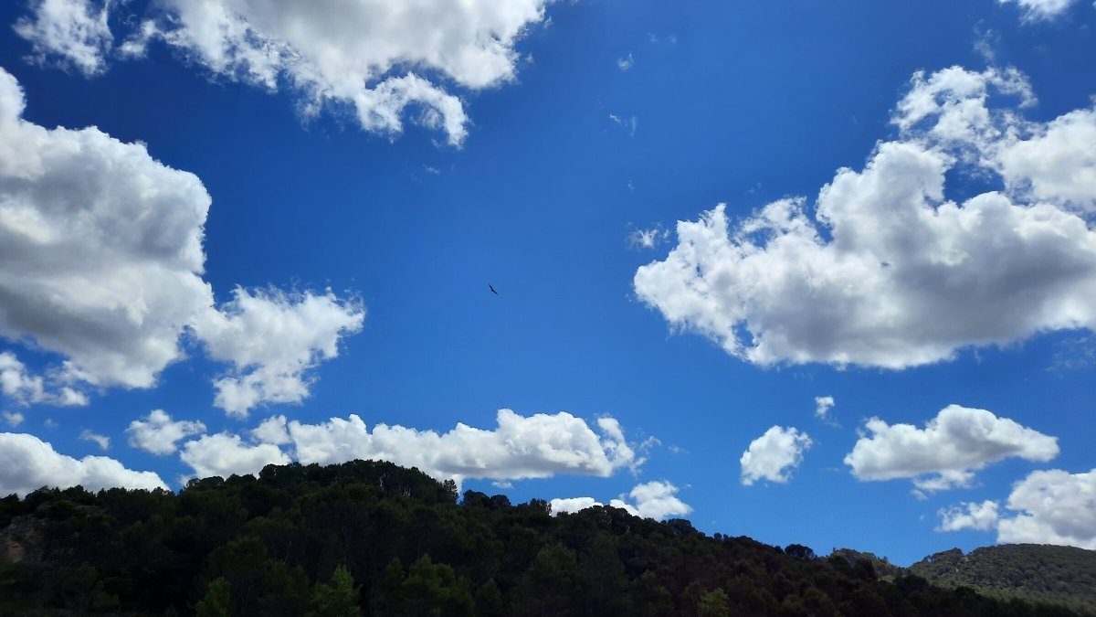 Gita in barca a Guadalajara