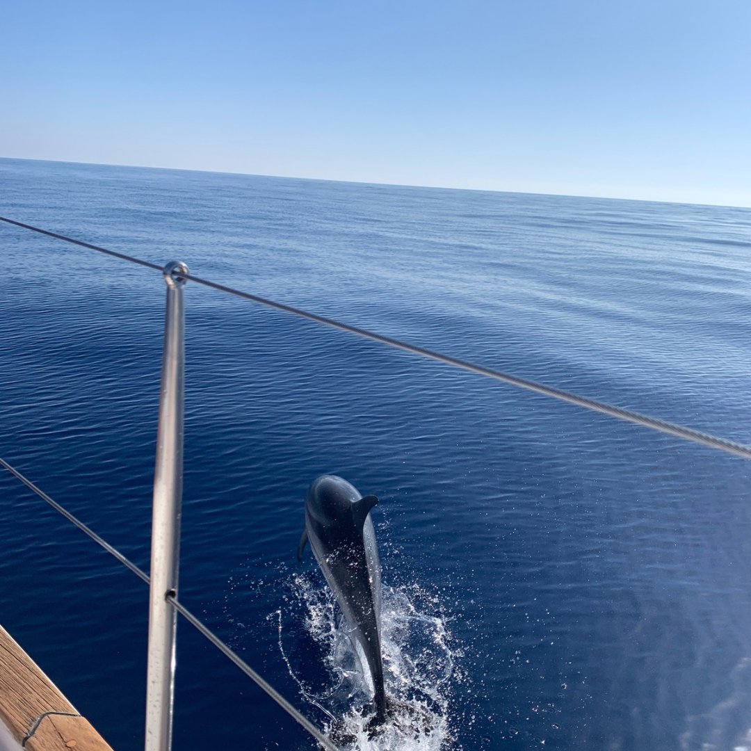 Itinerario mediterráneo en velero con servicios exclusivos