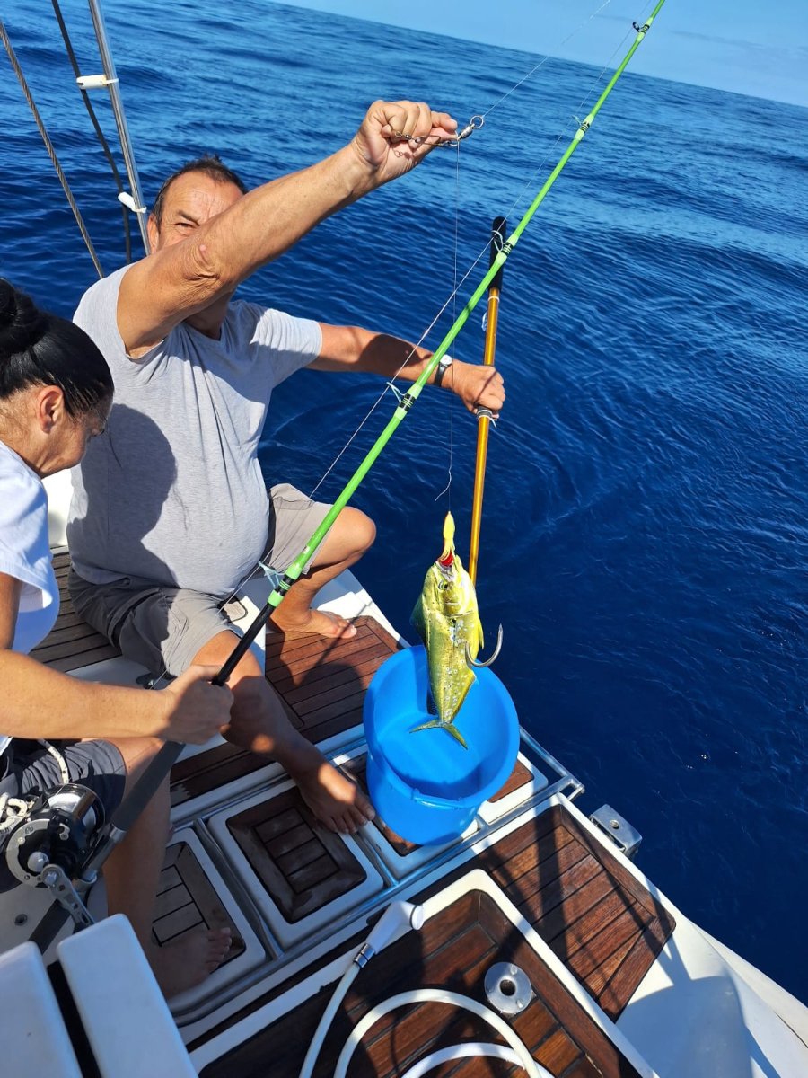 Navigation course in deep-sea sailing from Ibiza