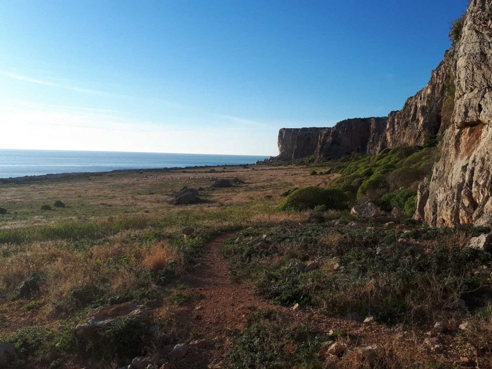 Sail Sicily: Nature and Sailing Experience