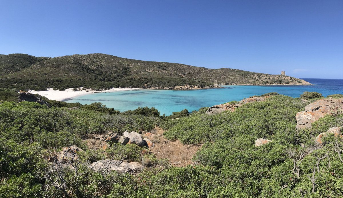 Discover the natural beauty of Asinara and Maddalena from the sea