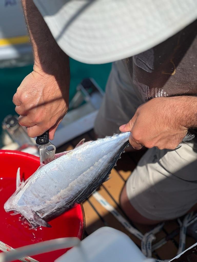 Barca nel mare Ionio vicino a Lefkada